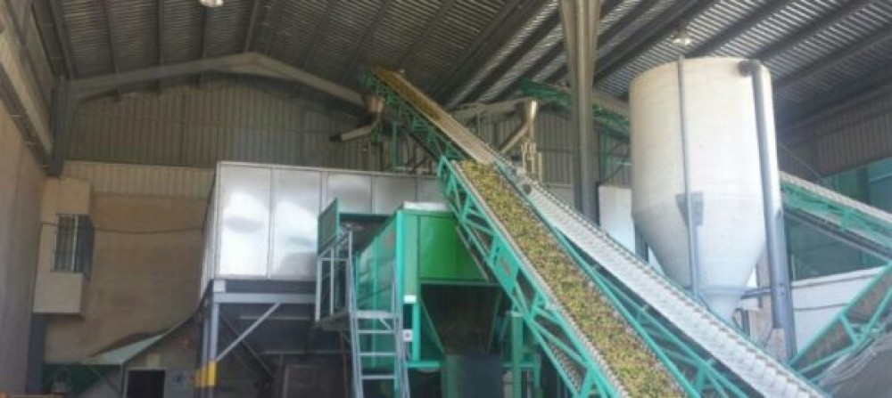 MAYORISTA DE ACEITE OLIVA